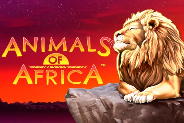 Animals Of Africa